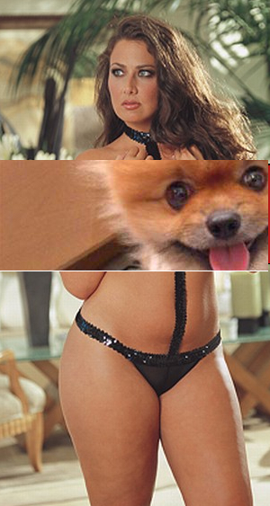 Puppy saves us all from the prospect of indecency....