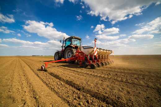 From Seed to Harvest: A Farmer's Journey