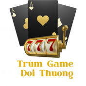 trumdoithuong profile image