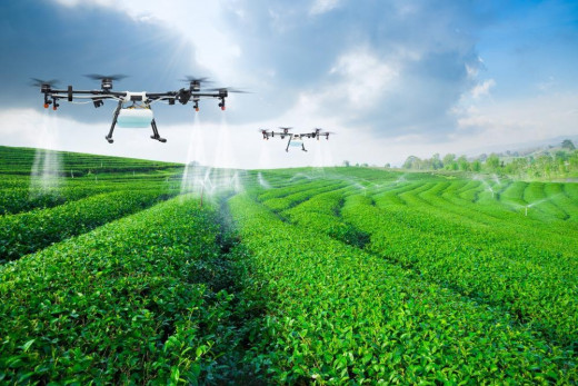 Advantages and Disadvantages of Precision Farming