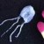 World's most venomous creature.  The IRUKANDJI jellyfish.  Shown by 2 matches to indicate small size.  photo swimatyourownrisk.com