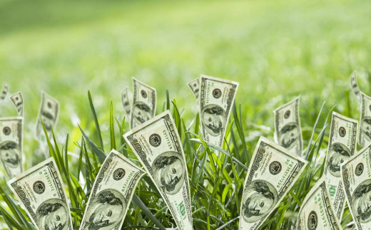 A Beginner's Guide to Investing