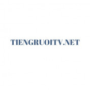 tiengruoitvnet profile image