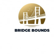 bridgeboundscom profile image