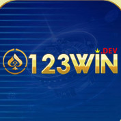 windev123 profile image