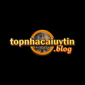 topnhacaiuytinblog profile image