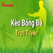 tylebonggda profile image