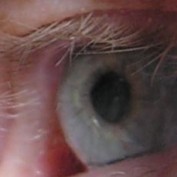 donssite.com profile image