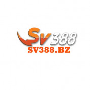 sv388bz profile image