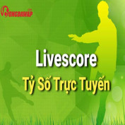 ttysotructuyen profile image