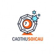 caothusoicau-co profile image