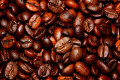 The Difference Between Arabica and Robusta Coffee Beans
