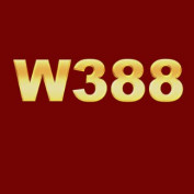 w388-cam profile image