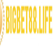 Bigbet88life profile image