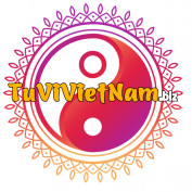 tuvivietnam profile image
