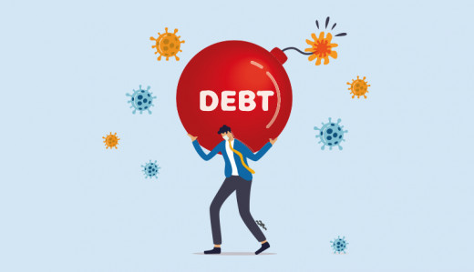 Public Debt
