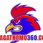 dagathomo360com profile image