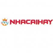 nhacaihayz profile image