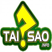 taisaoinfo profile image