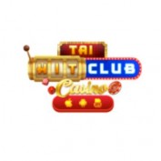 hitclubcasino profile image