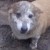Did I mention it stormed all day? Stella noticed. Did I mention it stormed all day? Stella noticed.