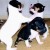 Flickr image: csbolt84; "Puppies Playing" Flickr image: csbolt84; "Puppies Playing"