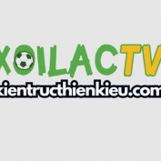 xoilactvkientructhienkieu profile image