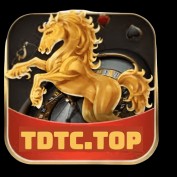 tdtc01 profile image