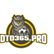 toto365 profile image