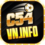C54vninfo profile image