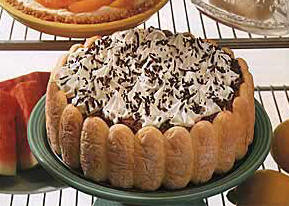 Ladyfinger Chocolate Cake pastrywiz.com 
