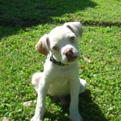 mia irawati profile image