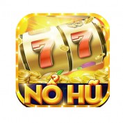 nohumx profile image