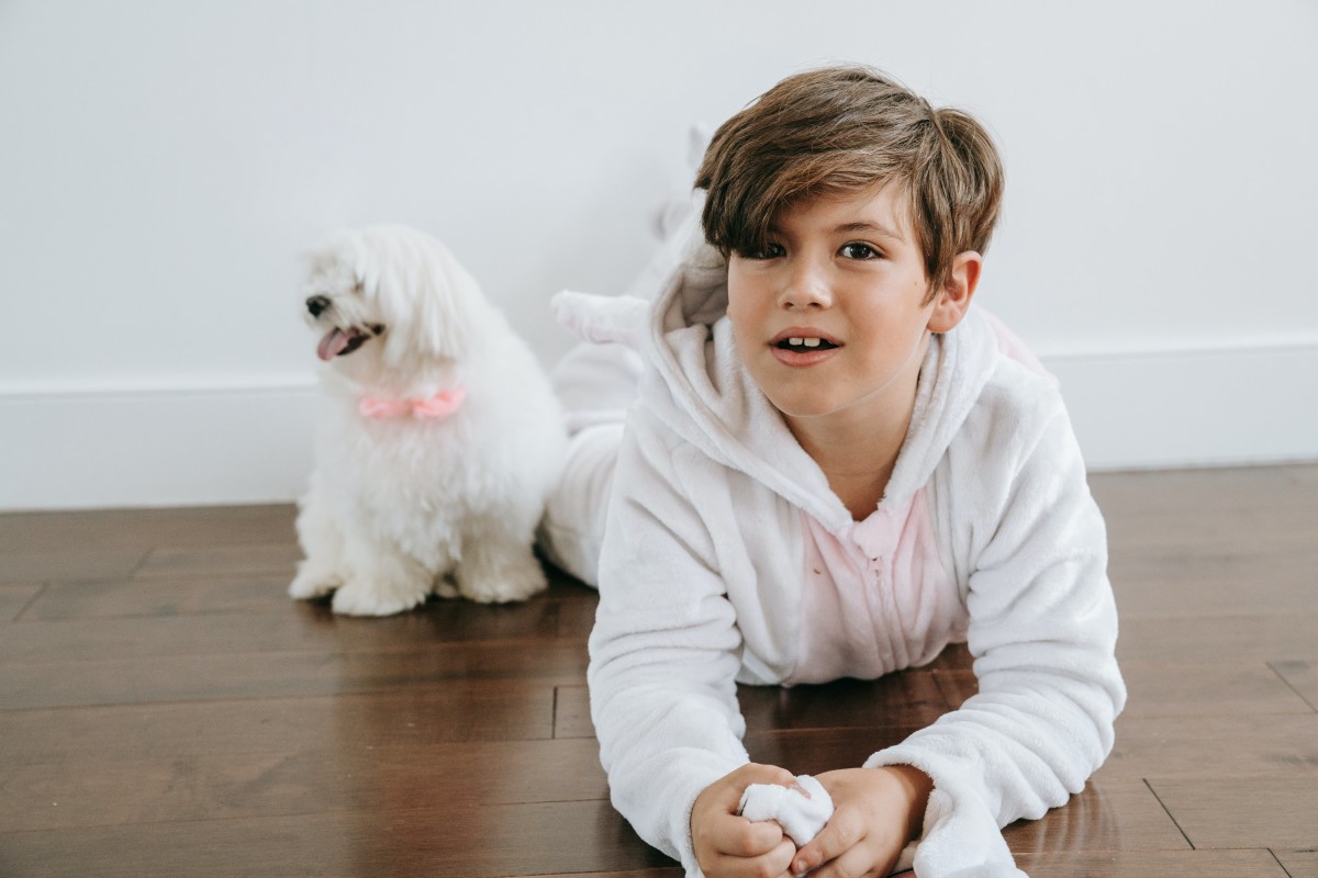Discovering the Joy: Why a Maltese Dog is the Perfect Addition to Your Family