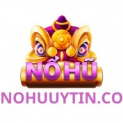 nohuuytinco profile image