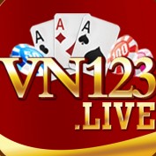 vn123live profile image
