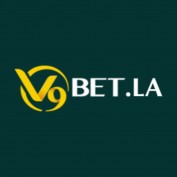 v9betla profile image