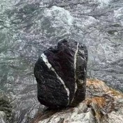 CautiousSlug profile image