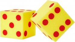 Educational Dice Games for Home & School ~ Including You Blew It Instructions