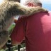 trippedr profile image