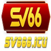 sv666icu profile image