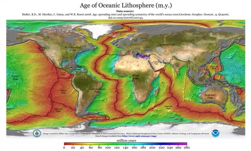 The newest growth of ocean floor is red one.