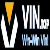 vin68top profile image