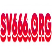 websv666org profile image