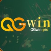 qgwinpro profile image