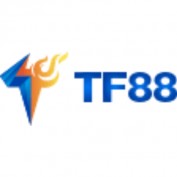 tf88ltd profile image