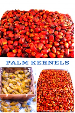 Palm Oil: History, Origin and Uses
