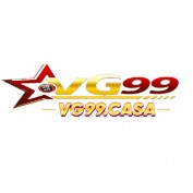 vg99casa profile image