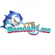 bancah52023 profile image