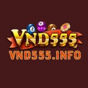 vnd555info profile image